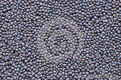 Black Gram Lentils or Skinned Urad Dal, closeup Stock Photo