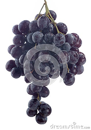 Black grape Stock Photo