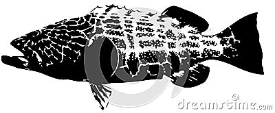 Black grouper - fish vector Stock Photo