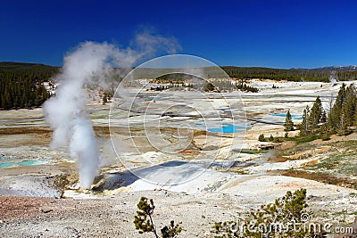 Black Growler Steam Vent at the Porcelain Basin, Norris Geyser Basin, Yellowstone National Park, Wyoming Stock Photo