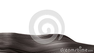 Black Hair isolated over white background Shiny Healthy colored Stock Photo