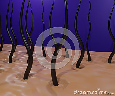 Black hair and scalp skin under microscopic close-up view Stock Photo