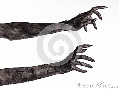 Black hand of death, the walking dead, zombie theme, halloween theme, zombie hands, white background, mummy hands Stock Photo