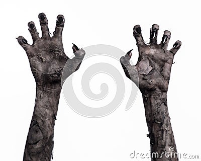 Black hand of death, the walking dead, zombie theme, halloween theme, zombie hands, white background, mummy hands Stock Photo