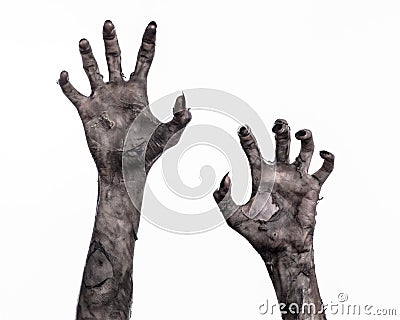 Black hand of death, the walking dead, zombie theme, halloween theme, zombie hands, white background, mummy hands Stock Photo