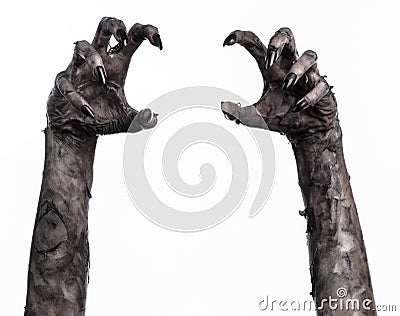 Black hand of death, the walking dead, zombie theme, halloween theme, zombie hands, white background, mummy hands Stock Photo