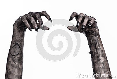 Black hand of death, the walking dead, zombie theme, halloween theme, zombie hands, white background, mummy hands Stock Photo