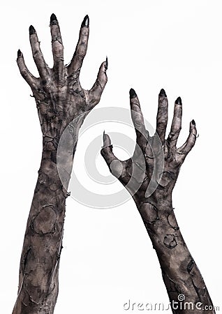 Black hand of death, the walking dead, zombie theme, halloween theme, zombie hands, white background, mummy hands Stock Photo