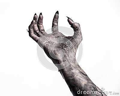 Black hand of death, the walking dead, zombie theme, halloween theme, zombie hands, white background, mummy hands Stock Photo