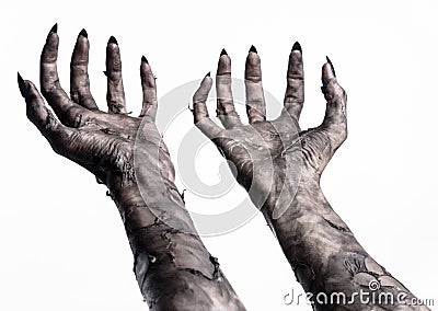 Black hand of death, the walking dead, zombie theme, halloween theme, zombie hands, white background, mummy hands Stock Photo