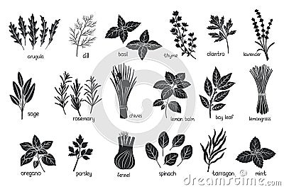 Black herbs spices silhouettes Cartoon Illustration