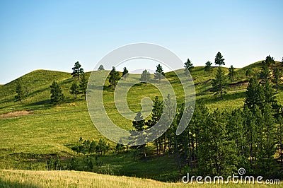 Black Hills Landscape Stock Photo