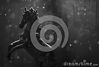 Black horse dust dark background Stock Photo