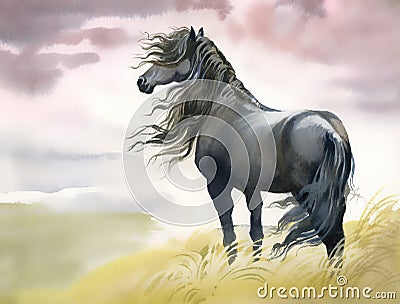 Black horse in a field Stock Photo