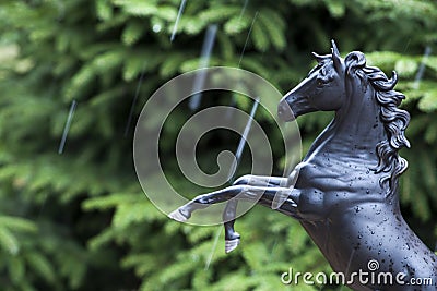 Black horse figure fir tree rain drops Stock Photo