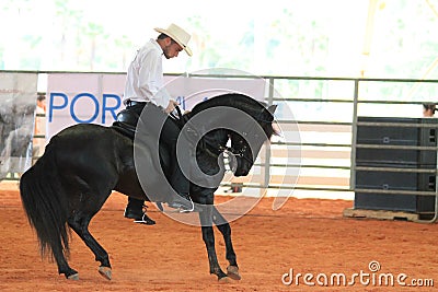 Black horse and rider at the rodeo Editorial Stock Photo