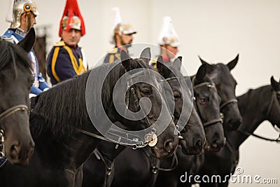 Black horses of the mounted Romanian Jandarmi horse riders from the Romanian Gendarmerie Editorial Stock Photo