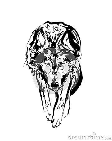 Vector sketch walking wolf Cartoon Illustration