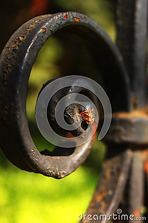 Black iron fence detail Stock Photo