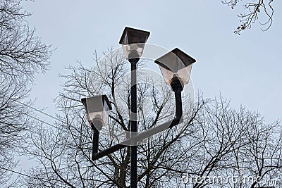 Black pole with three lamps lanterns on a background of gray branches and the sky Stock Photo