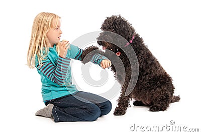 Black labradoodle begging young blonde girl for a treat on a white studio background Stock Photo