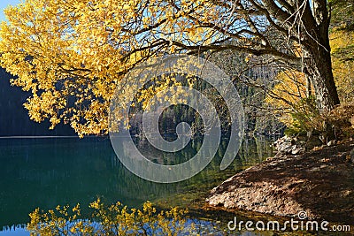 Black Lake, the Largest natural lake in the National park Sumava Stock Photo