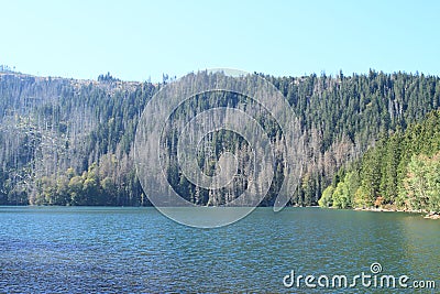 Black Lake on Sumava Stock Photo