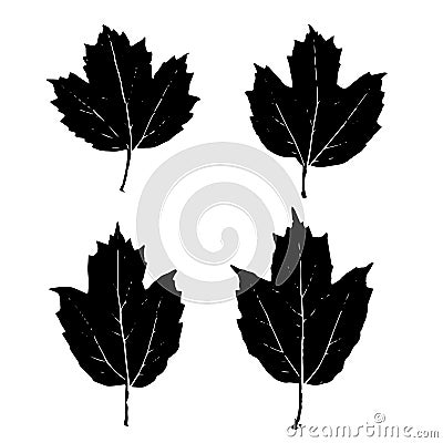 Black leaves maple, viburnum, guelder rose silhouettes isolated on white background. Vector illustration Vector Illustration