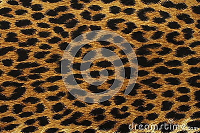 Black leopard spots Stock Photo