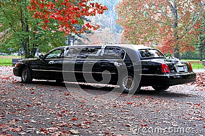 Black Limousine Stock Photo