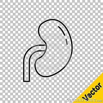 Black line Human kidney icon isolated on transparent background. Vector Stock Photo