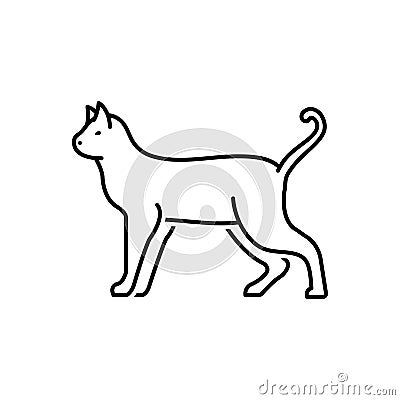 Black line icon for Cat, cheetah and kitten Vector Illustration