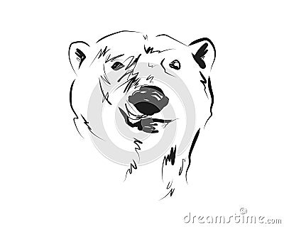 Vector sketch head of polar bear Cartoon Illustration