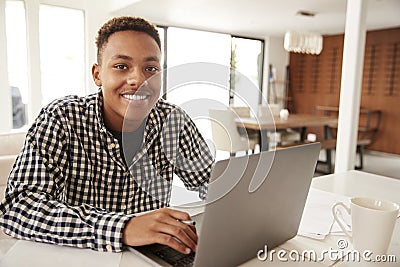 African American male teenager using a laptop computer at home smiling to camera, close up Stock Photo