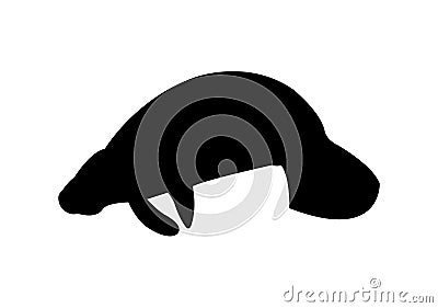 Black manatee icon on white background Vector Illustration