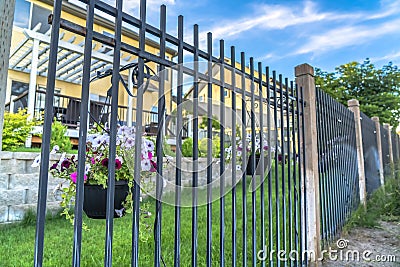 Black metal fence with potted colorful flowers against blurry homes and blue sky Stock Photo