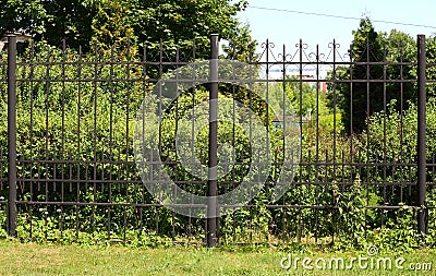 Black metal lattice fence of green garden Stock Photo
