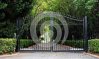 Black metal wrought iron driveway property entrance gates with lush green hedge and garden trees Stock Photo