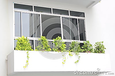 Black mirror on window house Stock Photo