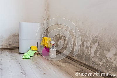 Black mold in the corner of room wall, dehumidifier and spray bottle with mildew removal products Stock Photo