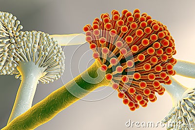 Black mold fungi Cartoon Illustration