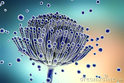 Black mold fungi Aspergillus Cartoon Illustration