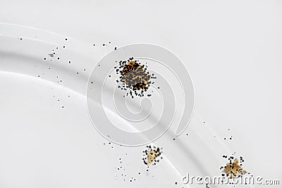 Black mold on a glass transparent plate dirty dishes fungus Stock Photo