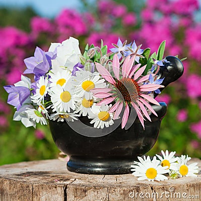 Black mortar with healing herbs in garden Stock Photo