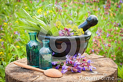 Black mortar with healing herbs and sage, glass bottle of oil Stock Photo