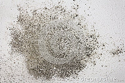 Black Mould on a Ceiling Stock Photo