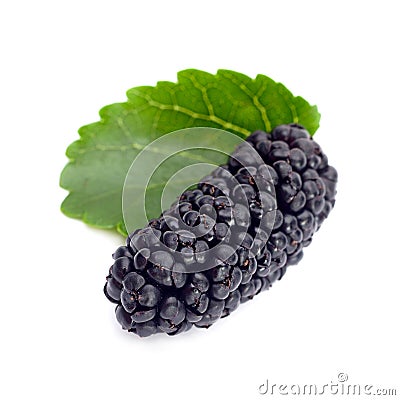 Black mulberry Stock Photo