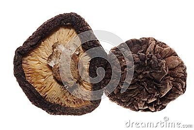 Black mushroom Stock Photo