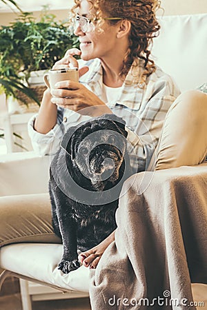 Black nice and curious pug dog look at the camera and cheerful happy owner female in background. Concept of animals best friends Stock Photo