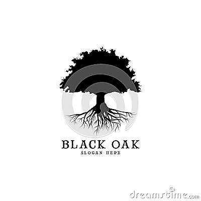 Black oak tree logo and roots design illustration Vector Illustration